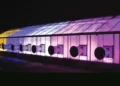 Greenhouse Orientation Affects Supplemental LED Lighting Design
