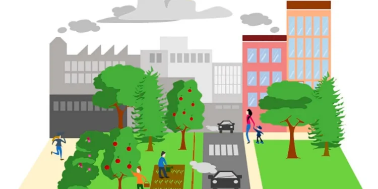 The Health and Environmental Benefits of Green Space Accessibility in Urban Communities